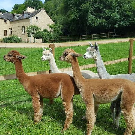 Apartamento La Ferme Des Andes - Gite L'Atelier Quins Exterior foto