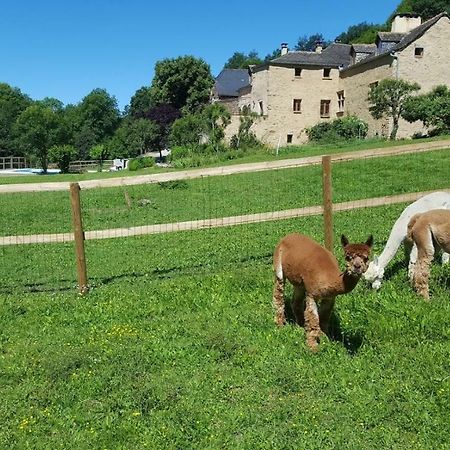 Apartamento La Ferme Des Andes - Gite L'Atelier Quins Exterior foto