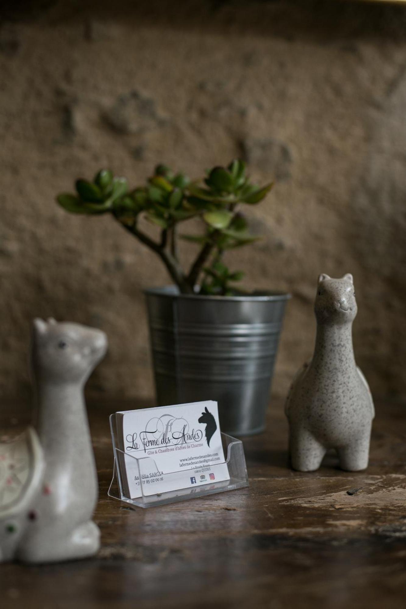 La Ferme Des Andes - Gite L'Atelier Quins Exterior foto