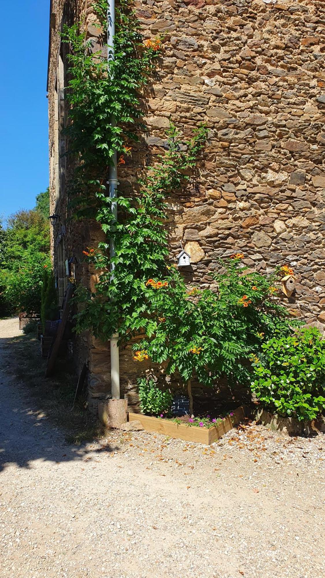 La Ferme Des Andes - Gite L'Atelier Quins Exterior foto