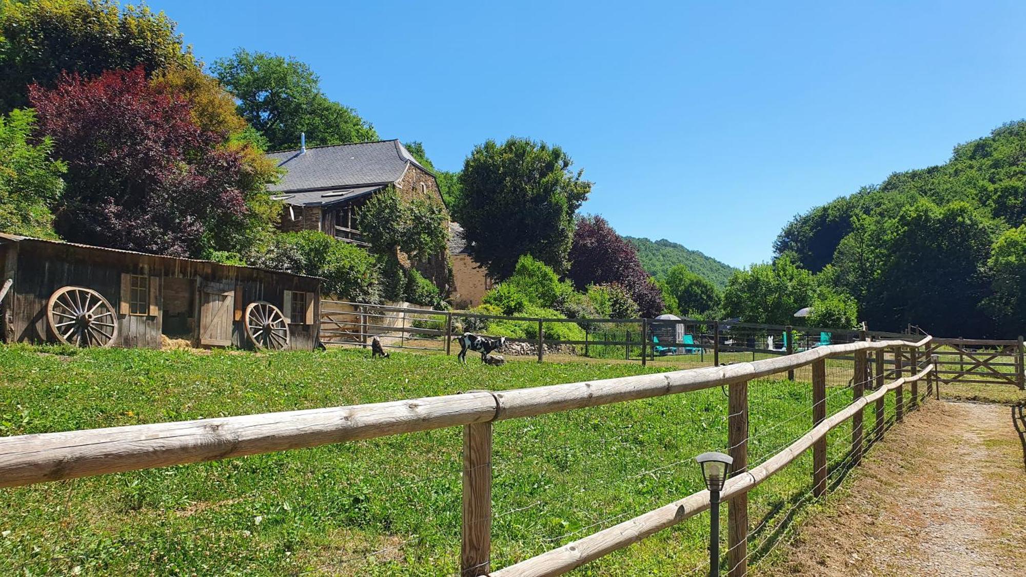 La Ferme Des Andes - Gite L'Atelier Quins Exterior foto