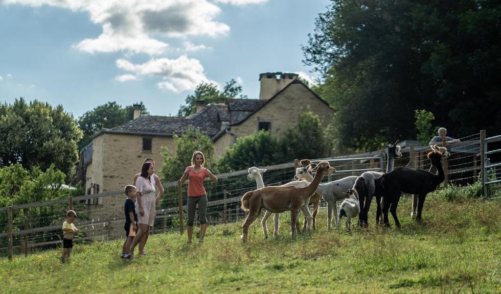 La Ferme Des Andes - Gite L'Atelier Quins Exterior foto