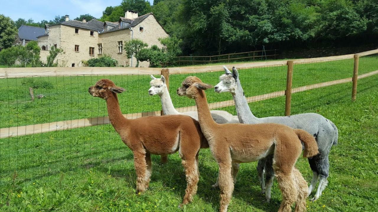 La Ferme Des Andes - Gite L'Atelier Quins Exterior foto