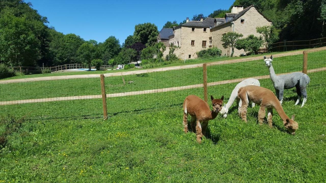 Apartamento La Ferme Des Andes - Gite L'Atelier Quins Exterior foto