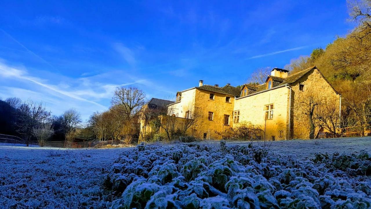 La Ferme Des Andes - Gite L'Atelier Quins Exterior foto