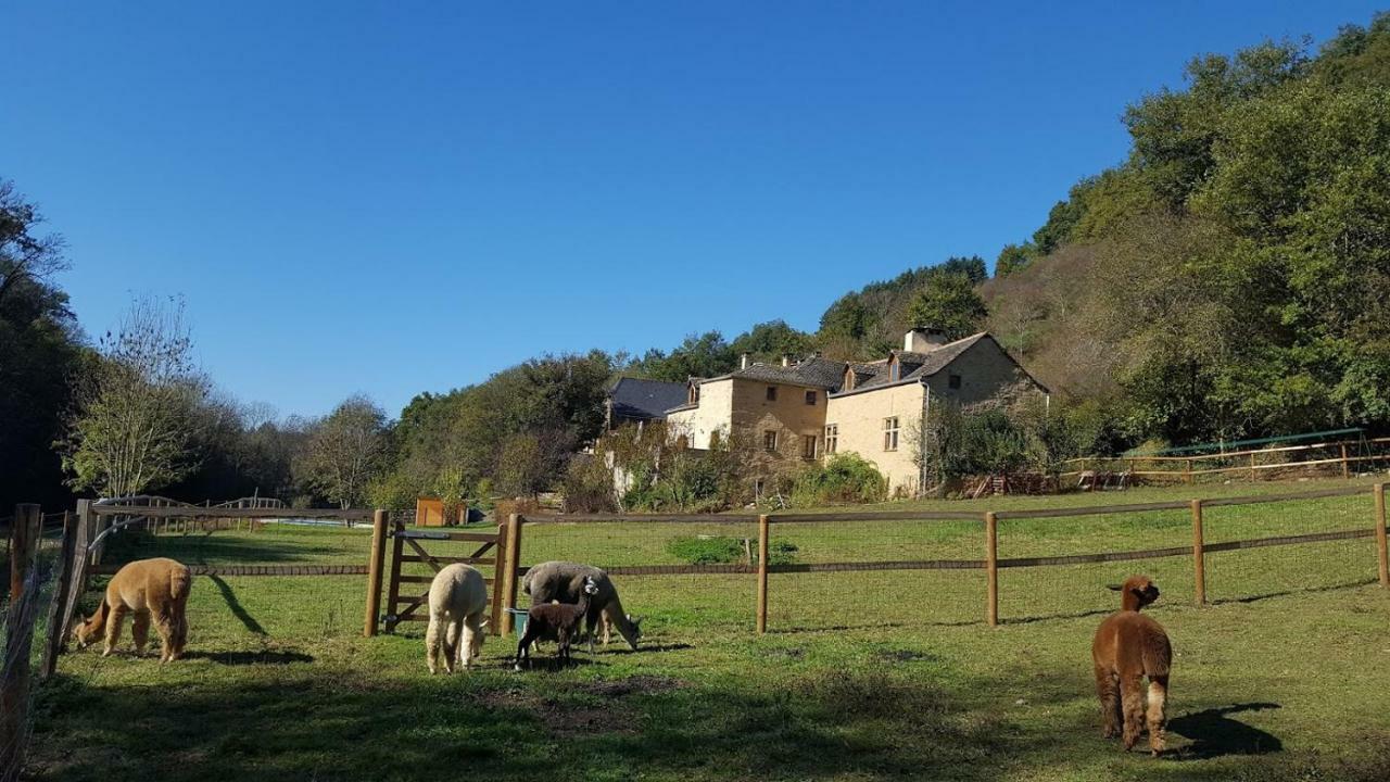 La Ferme Des Andes - Gite L'Atelier Quins Exterior foto