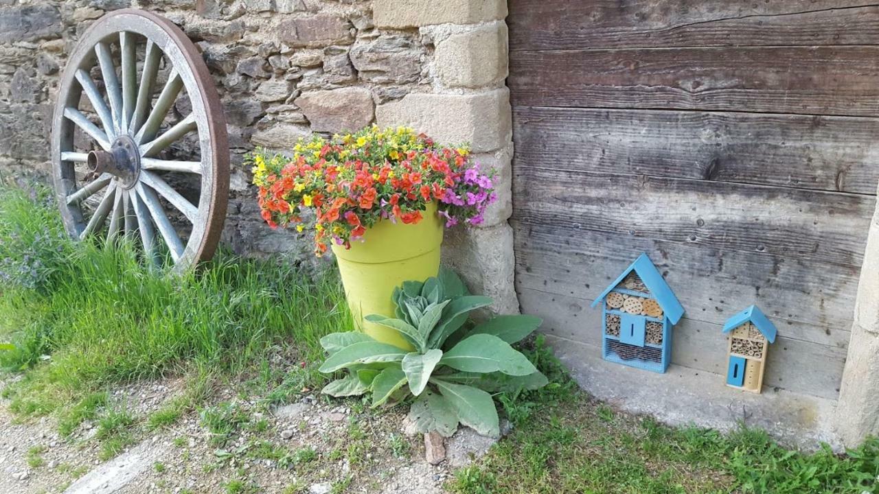 Apartamento La Ferme Des Andes - Gite L'Atelier Quins Exterior foto